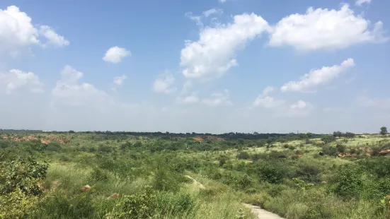 Aravali Biodiversity Park, Gurugram