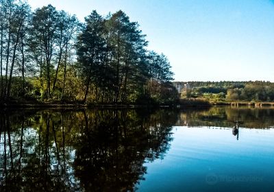 Naturfreibad Zellersee