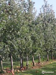 Park Hill Orchard