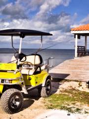 Coconut Carts Belize