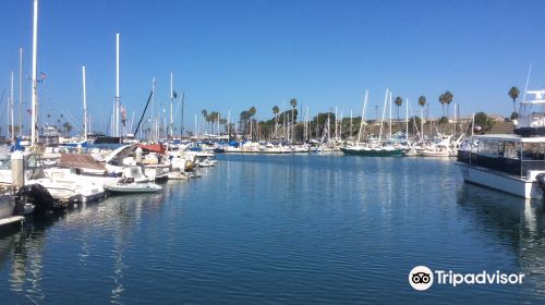 Oceanside Municipal Marina