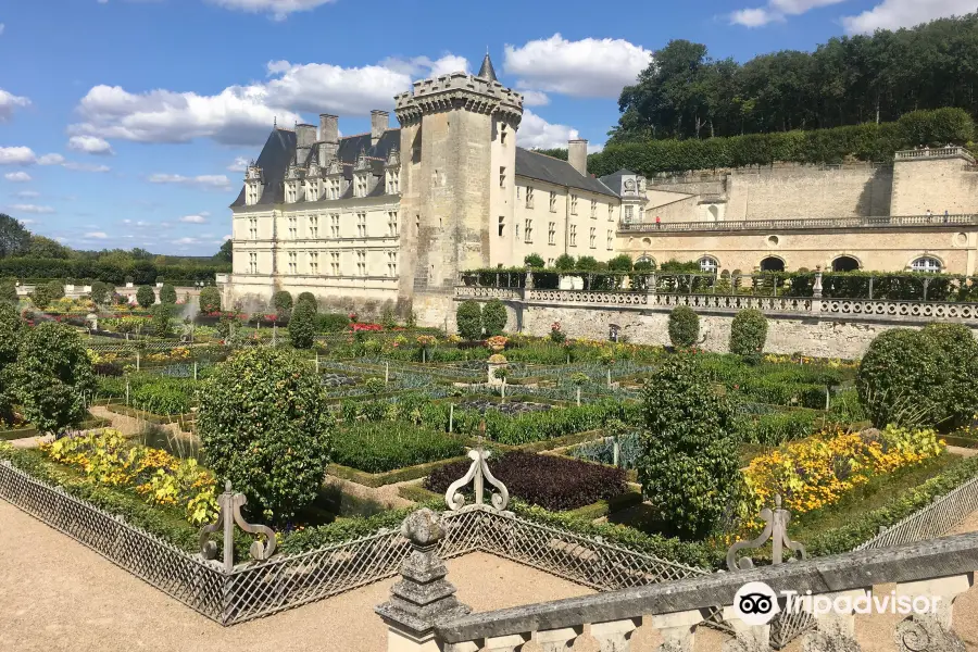 Saumur Bike Hire