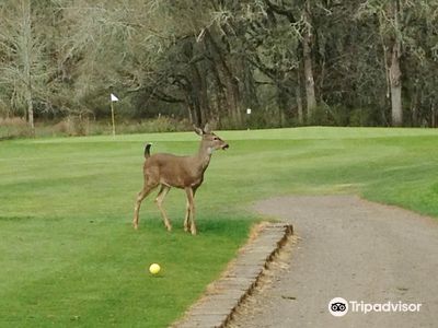 McKay Creek Golf Course & Driving Range