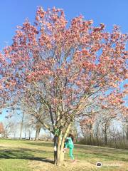 Bee Tree County Park