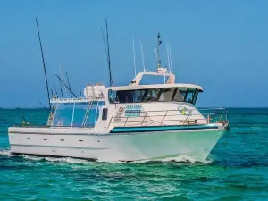 Mahi Mahi Fishing Charter