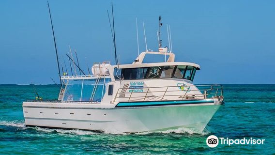 Mahi Mahi Fishing Charters