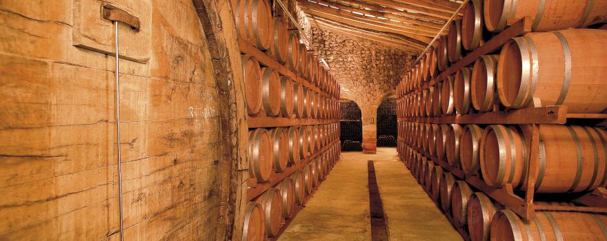 Bodega Ribas
