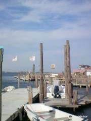 Point Lookout Beach