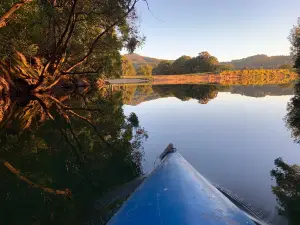 Bellingen Canoe Adventures