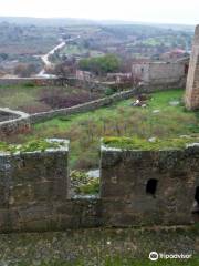 San Felices de los Gallegos' Castle