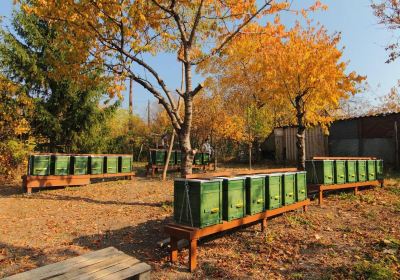 Szabó Apiary