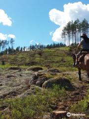 Our Little Farm Horseback Riding