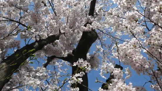 久喜菖蒲公園