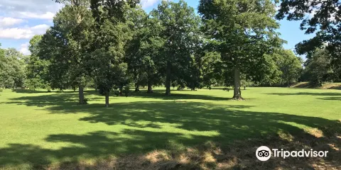 紐瓦克土方工程