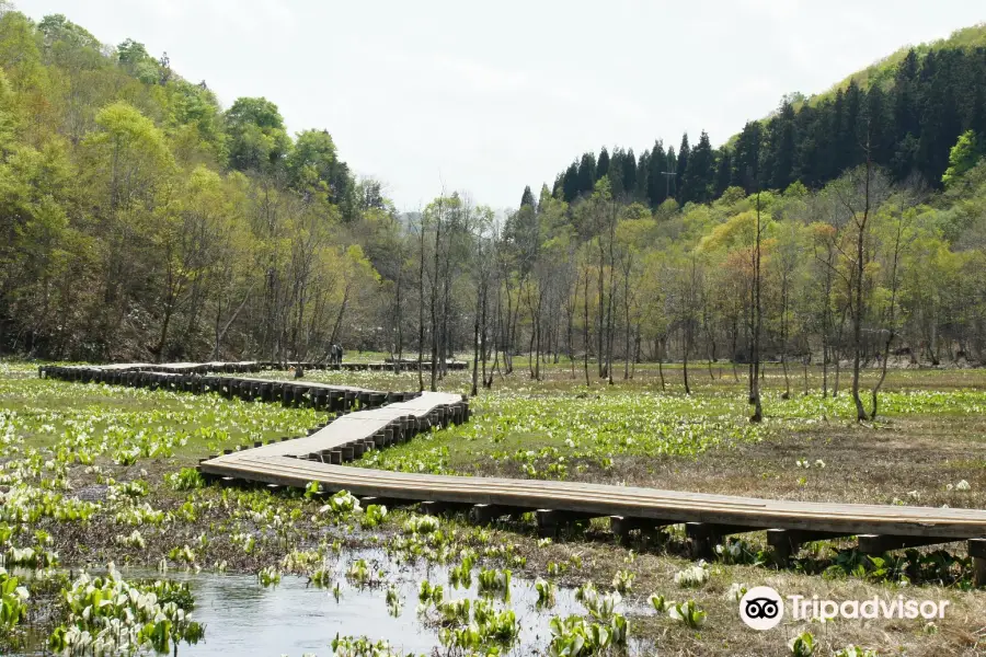 Ikegahara Marsh