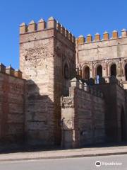 Puerta De Medina