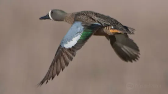 Arrowwood National Wildlife Refuge