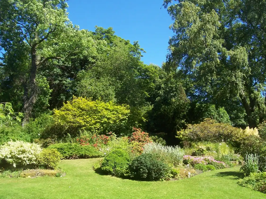 Hotel in zona Cruickshank Botanic Garden