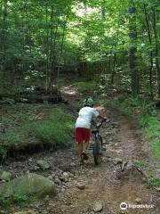 Minnesing Mountain Bike Trail