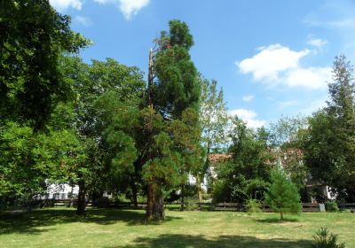 Roseninsel & Sobernonplatz