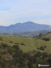 Huckleberry Botanic Regional Preserve