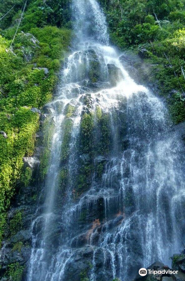 知本溫泉