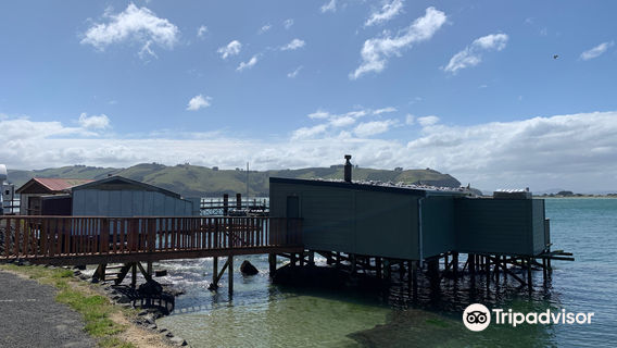 Eden Cafe & Boat Hire