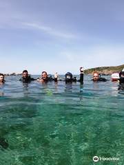 AegeanSeals Diving Center