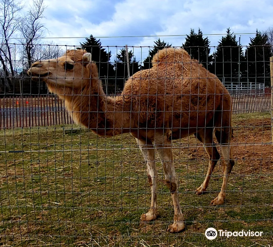 5_Leesburg Animal Park