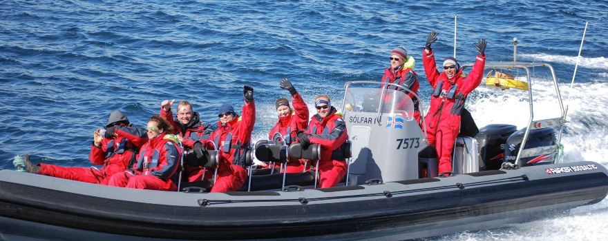 Ambassador Whale Watching
