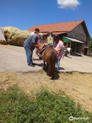 Tasso & Kris Horse Riding Center