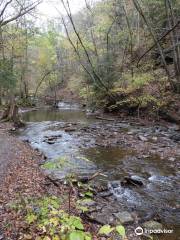 Grimes Glen