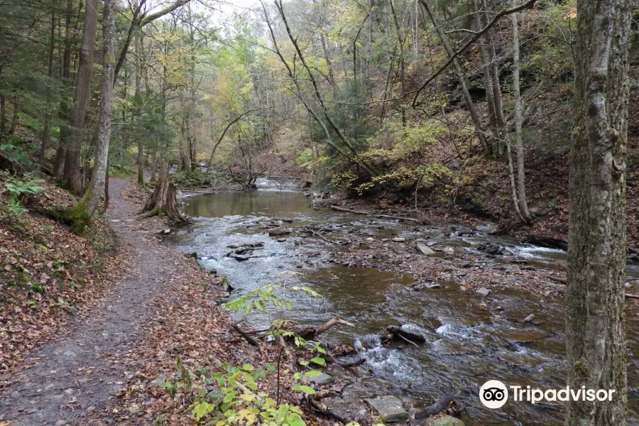 Grimes Glen