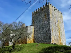 Museo Fortaleza San Paio de Narla