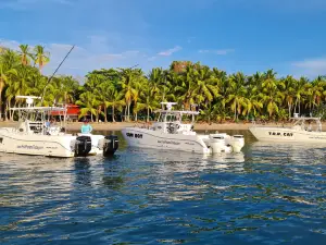 Sport Fish Panama Island Lodge - Day Charters