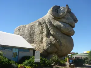 The Big Merino