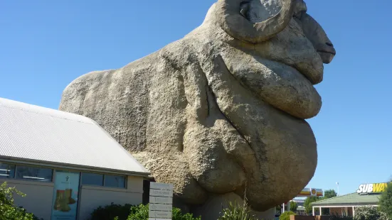 The Big Merino