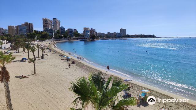 Playa De La Albufereta