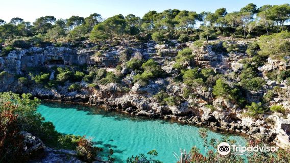Cala Pi Beach
