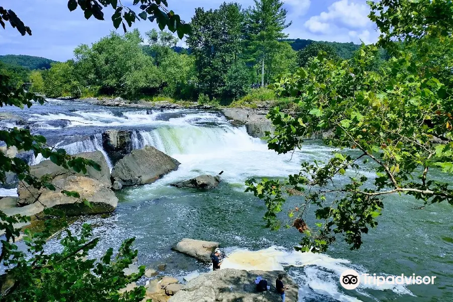 Ohiopyle State Park