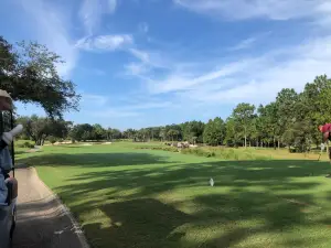 Juliette Falls Golf Course and Community