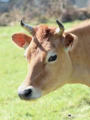 La Ferme aux Cinq Saisons