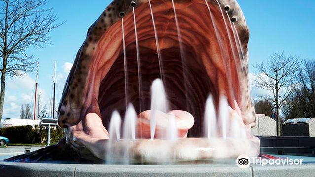 11fountains - De Vis Voor Stavoren