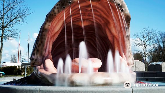 11fountains - De Vis Voor Stavoren