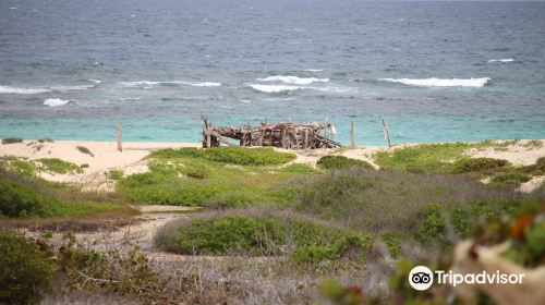 Grapefield Climbing Area