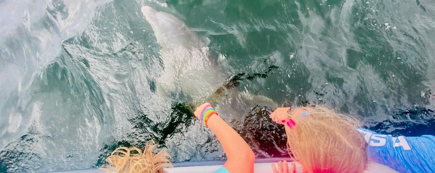 Hot Spots Charters