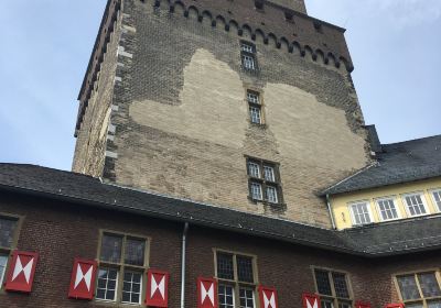 Geologisches Museum im Schwanenturm