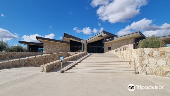 Museum of the Vine and Wine