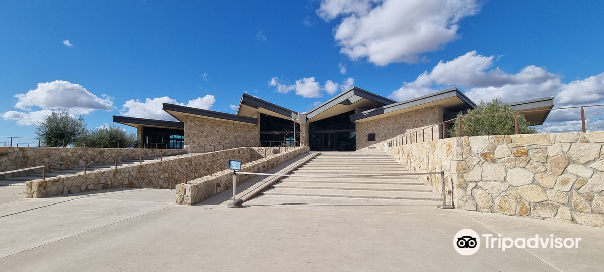 Museum of the Vine and Wine