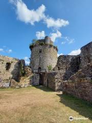 Tonquedec Castle